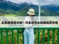 去西藏旅游攻略？乌鲁木齐去西藏旅游攻略