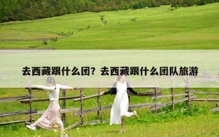 去西藏跟什么团？去西藏跟什么团队旅游