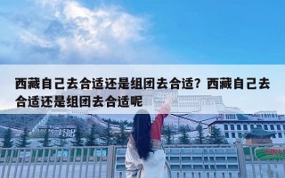 西藏自己去合适还是组团去合适？西藏自己去合适还是组团去合适呢
