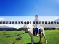 西藏游注意事项及准备？西藏游需要注意什么