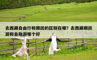去西藏自由行和跟团的区别在哪？去西藏跟团游和自助游哪个好