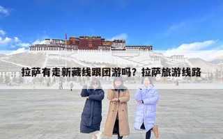 拉萨有走新藏线跟团游吗？拉萨旅游线路