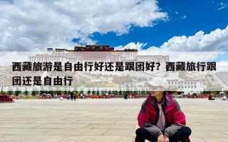 西藏旅游是自由行好还是跟团好？西藏旅行跟团还是自由行