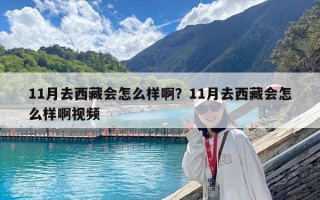 11月去西藏会怎么样啊？11月去西藏会怎么样啊视频