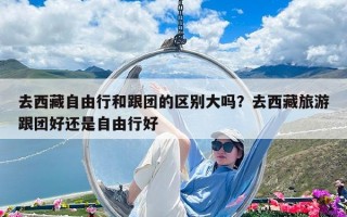 去西藏自由行和跟团的区别大吗？去西藏旅游跟团好还是自由行好