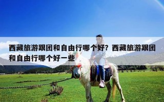 西藏旅游跟团和自由行哪个好？西藏旅游跟团和自由行哪个好一些