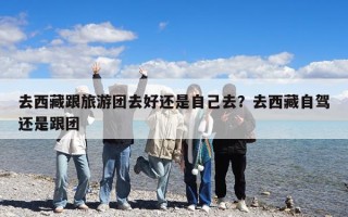 去西藏跟旅游团去好还是自己去？去西藏自驾还是跟团