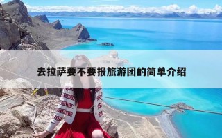 去拉萨要不要报旅游团的简单介绍