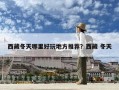 西藏冬天哪里好玩地方推荐？西藏 冬天