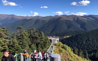 林芝的旅行社线路报价要多少钱？林芝旅游团费用一般多少？