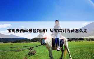 宝鸡去西藏最佳路线？从宝鸡到西藏怎么走