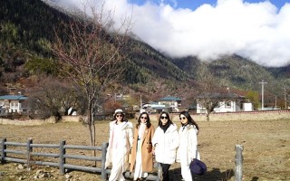 林芝三月桃花节去旅游多少钱？三月去林芝桃花节玩好多钱？