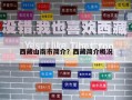 西藏山南市简介？西藏简介概况