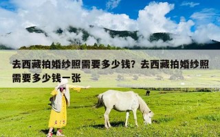 去西藏拍婚纱照需要多少钱？去西藏拍婚纱照需要多少钱一张