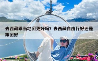 去西藏跟当地团更好吗？去西藏自由行好还是跟团好