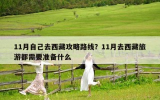 11月自己去西藏攻略路线？11月去西藏旅游都需要准备什么