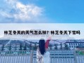 林芝冬天的天气怎么样？林芝冬天下雪吗