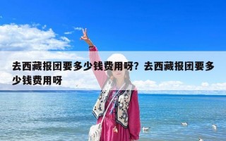 去西藏报团要多少钱费用呀？去西藏报团要多少钱费用呀