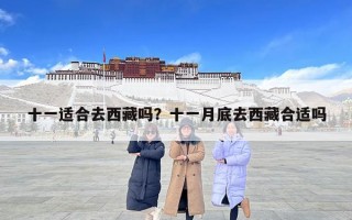 十一适合去西藏吗？十一月底去西藏合适吗