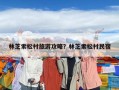 林芝索松村旅游攻略？林芝索松村民宿