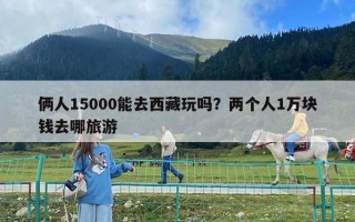 俩人15000能去西藏玩吗？两个人1万块钱去哪旅游
